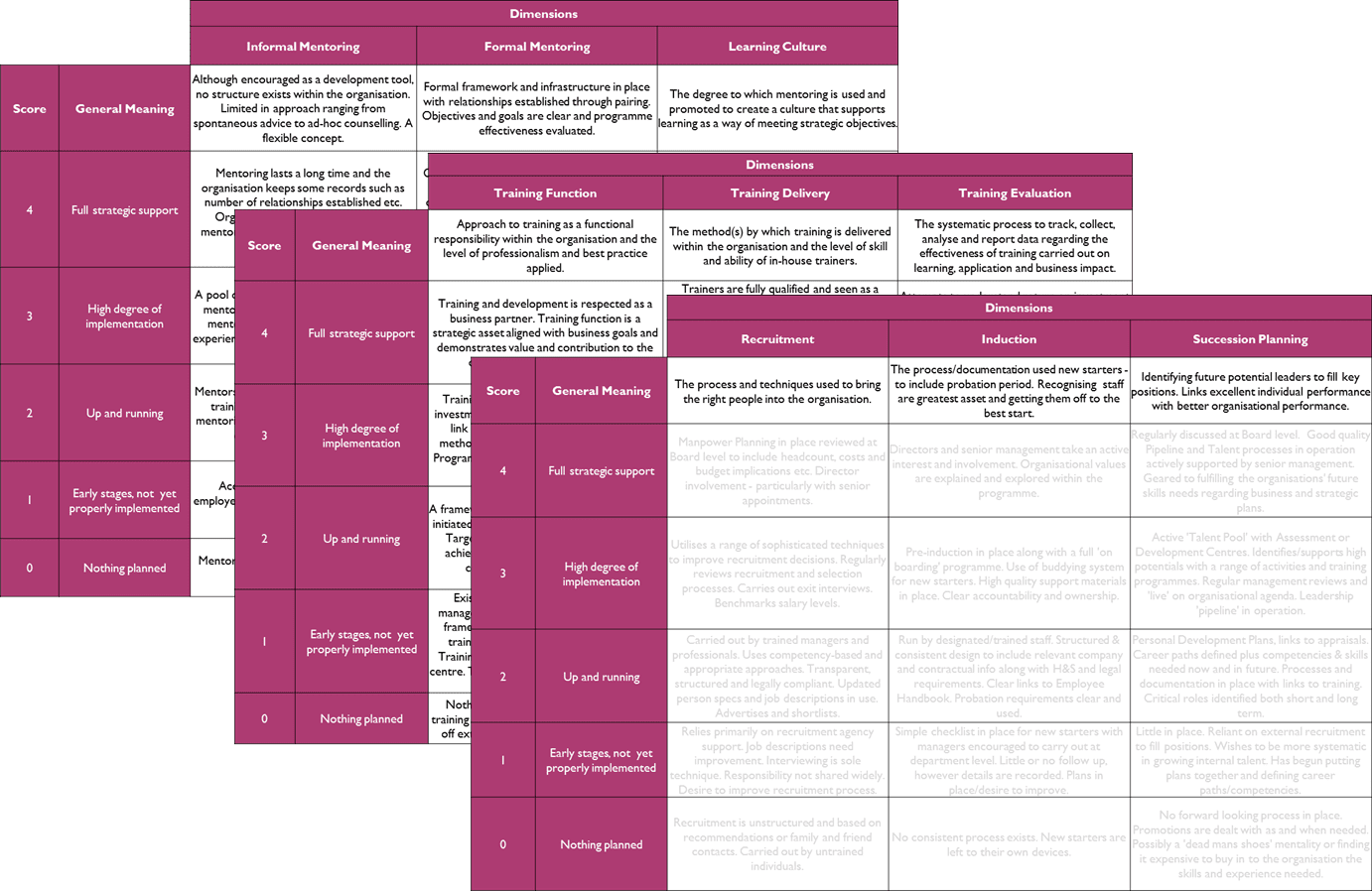 MBM's three HR Scorecards for Human Resource to measure Training, Mentoring & Recruitment