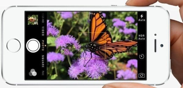 A landscape photo of a butterfly on an iPhone taken with volume button