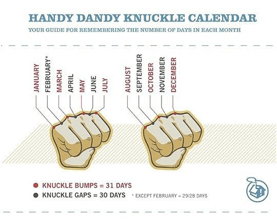 Handy Dandy Knuckle Calendar mnemonic to learn the days in the month for self-learners