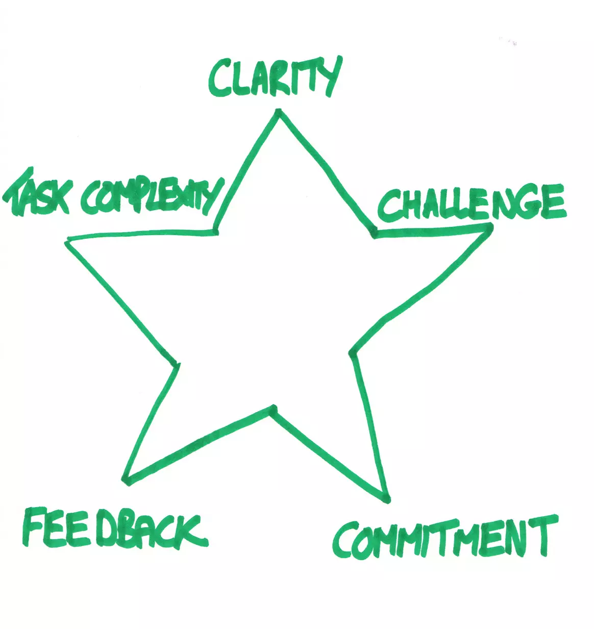 Star Graph showing Clarity, Challenge, Commitment, Feedback, Task Complexity. 