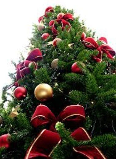Christmas tree from bottom angle