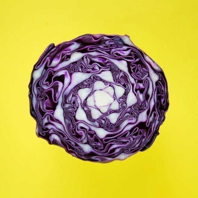 A Purple Cabbage, sat within a bright yellow background