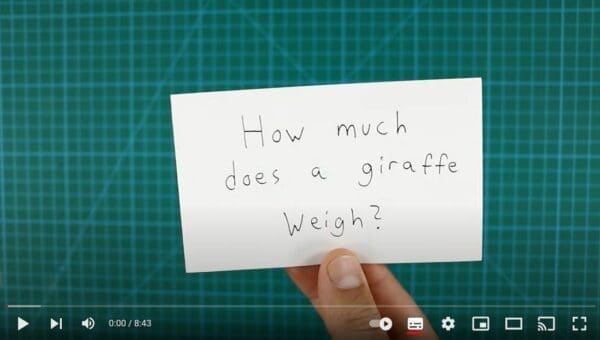How much does a giraffe weigh written on a white card