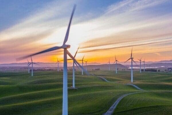 Greens field of wind turbines and sunset sky