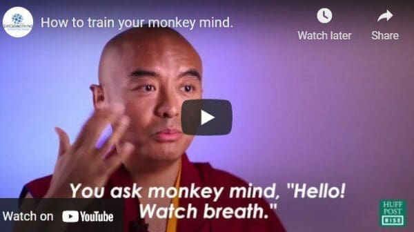 Links to YouTube video on How to train your monkey mind