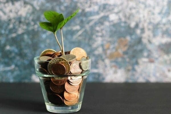 Clear glass with coins in and a plant sprouting