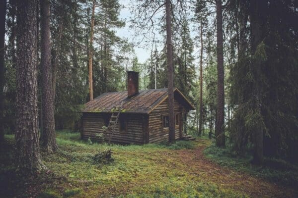 Old isolated, run-down cabin in the woods