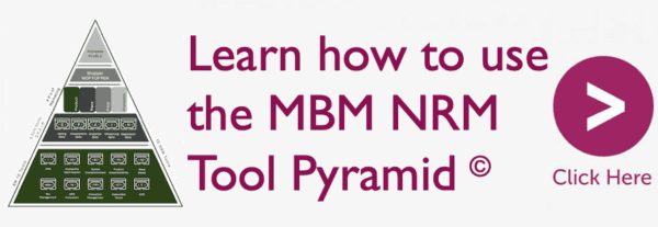 MBM banner for the NRM Tool pyramid