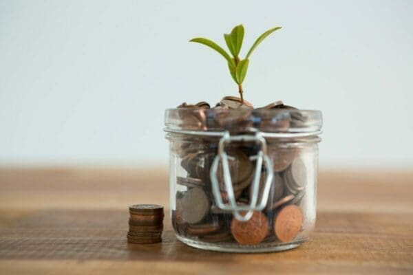 Plant growing out of coins jar