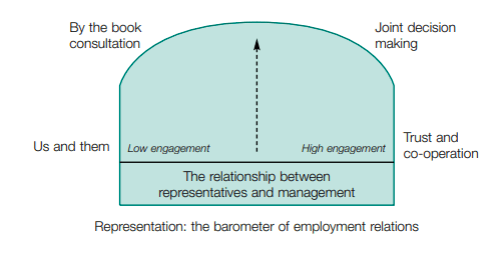Green diagram showing the relationship between representatives and management