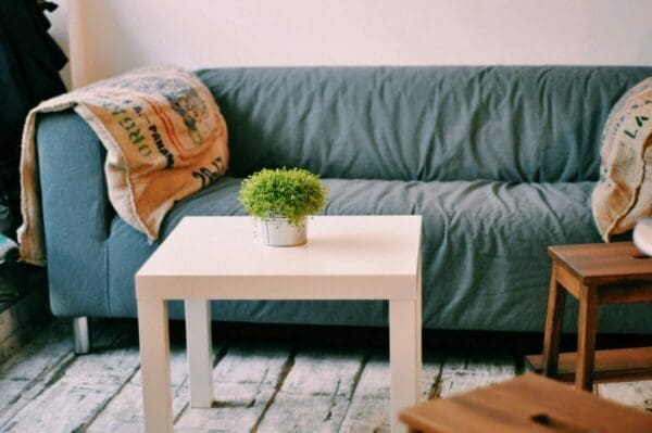A sofa with cushions and a coffee table represent furniture