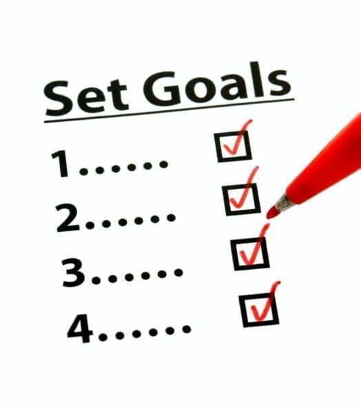 Goals checklist with red ticks