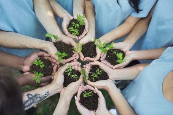 Hands holding sprouting plants represents growth and development