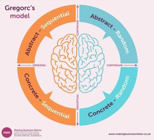 Ifographic with Brain in centre of orange and blue cycle explains the Gregorc's model