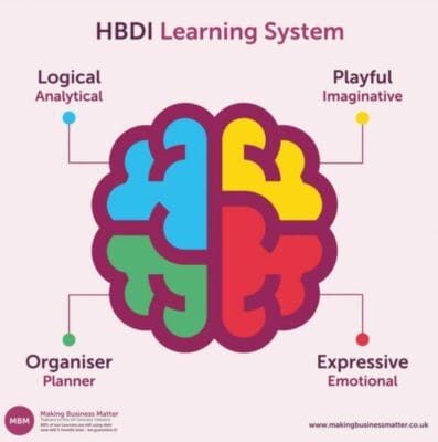 HBDI Learning system with colourful brain labeled logical, playful, organiser, and expressive