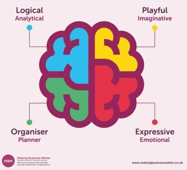 Purple brain graphic of the 4 quadrants for HBDI Whole Brain Thinking
