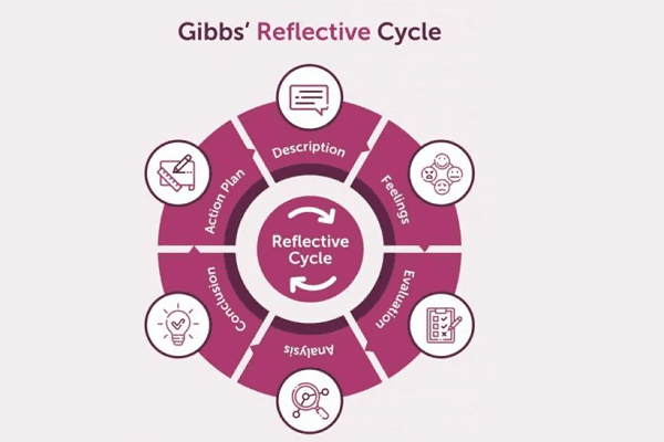 Purple Gibbs reflective cycle