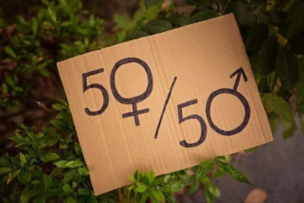 Cardbaord sign with 50/50 on it regarding female and male genders