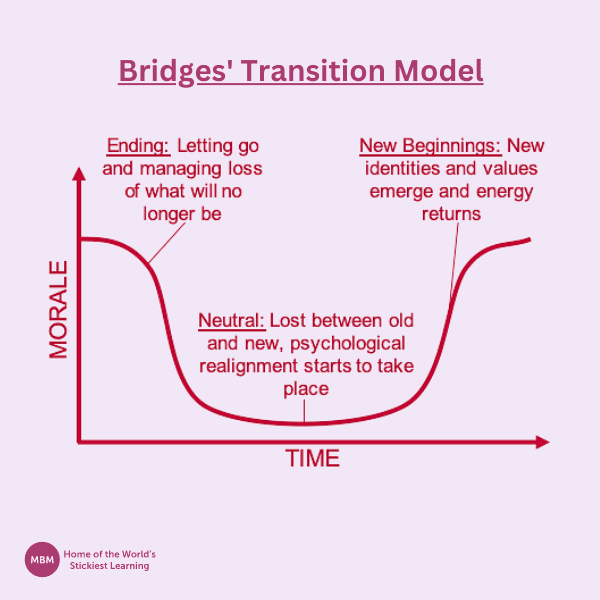 Diagram of Bridges transition model