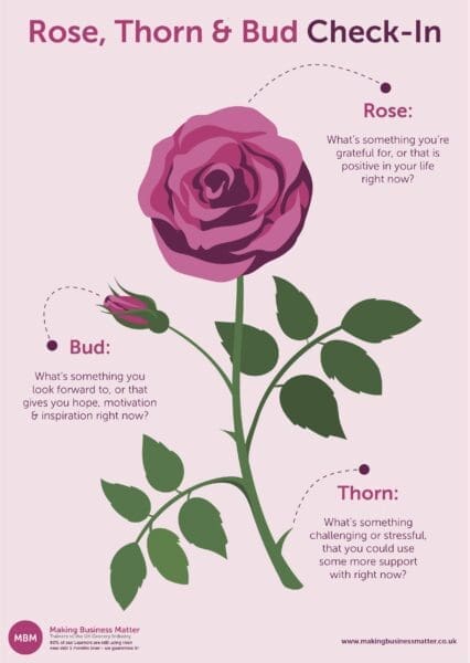 Infographic with purple rose and labels explaining the Rose, Thorn & Bud check-in from MBM to great people
