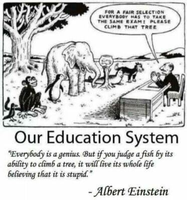 Black and white cartoon square of Einstein's education quote with animals 