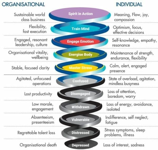 Multicoloured infographic with a spiral representing the aspects of resilience for organisation and individual