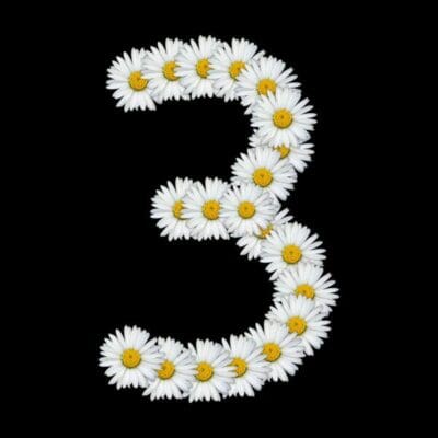 Number 3 made of white daisies on a black background