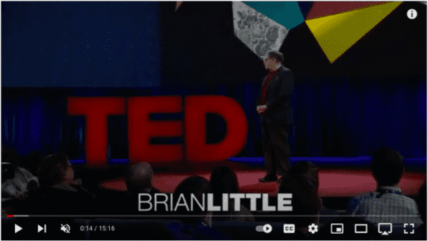Links you YouTube TED Talk video with Brian Little on the puzzle of personality