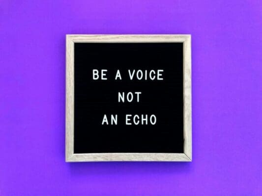 Be a voice, not an echo quote on felt board on purple background for Presentation Skills Examples