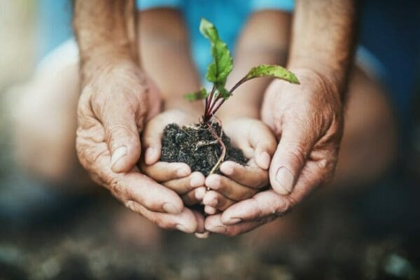 Hands of two ESFJ holding soil with green plant sprouting representing growth and development 