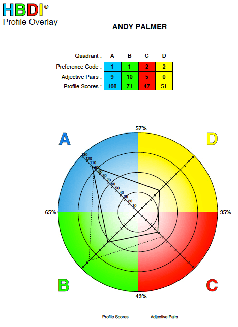 HBDI Herrmann Brain Dominance Instrument profile diagram psychometrictest results for Andy Palmer