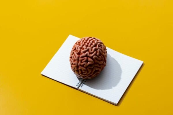 Brain on an open notebook on yellow background represents smart