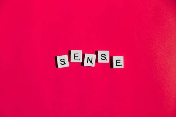 Sense spelt with scrabble word cubes on a red background