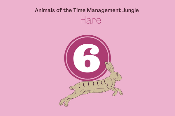Animal of the negotiation jungle hare time management tips for work