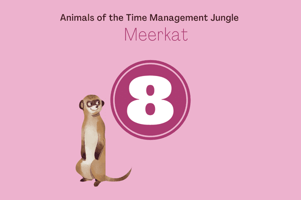 Animal of the negotiation jungle meerkat