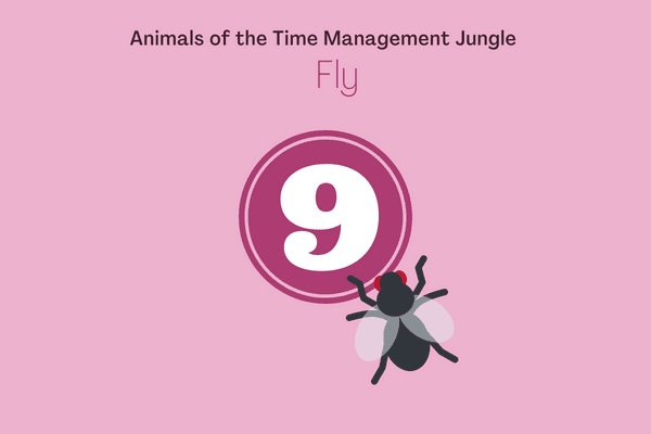 Animal of the negotiation jungle fly time management tips for work