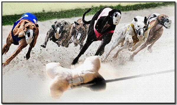 Rabit pulled by a string with greyhounds chasing in a race time management tips for work