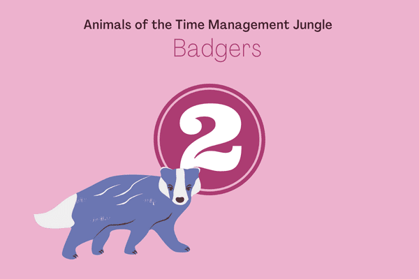 Animal of the negotiation jungle badger