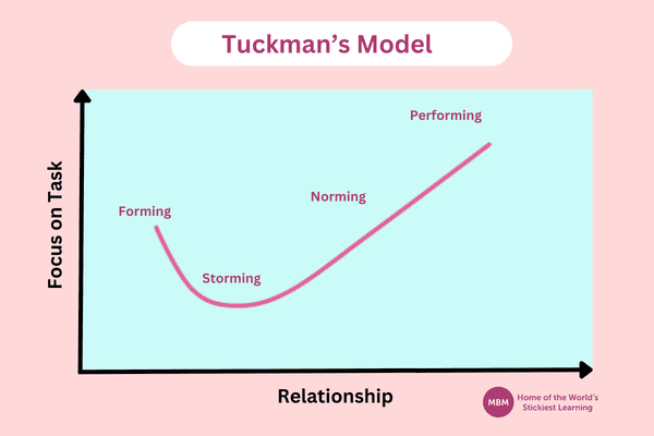 Blue chart graph showing pink curve of Tuckman's model of group development 