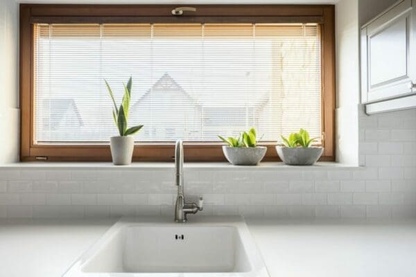 Window above white clean kitchen sink and potted plants