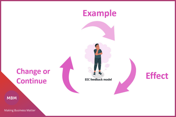 EEC feedback model infographic for example, effect and change or continue