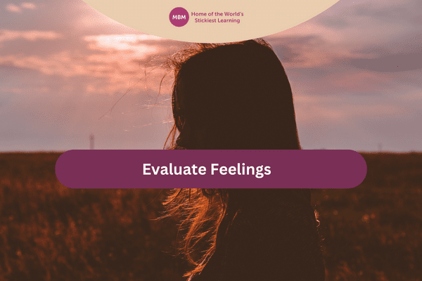 Evaluate Feelings blog post image