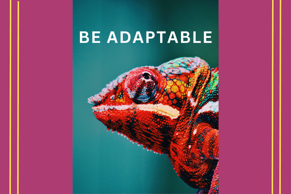 BE ADAPTABLE blog post image with Chameleon