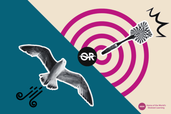 wings of bird and bullseye target represents Leadership and Management Styles blog post image