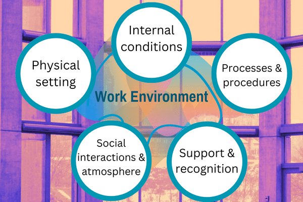 Five componenets of the work environment