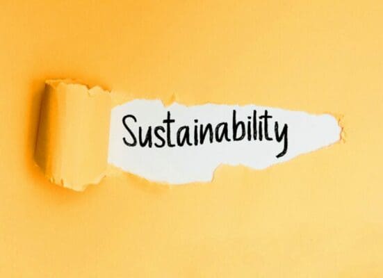 Sustainability word in English on peach background