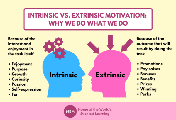diagram showing intrinsic and extrinsic motivators for job satisfaction
