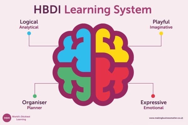 Brain coloured in four parts to show HBDI model and labeled logical, playful, organiser, and expressive 