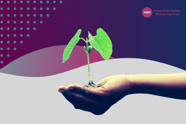 Hand holding a growing plant