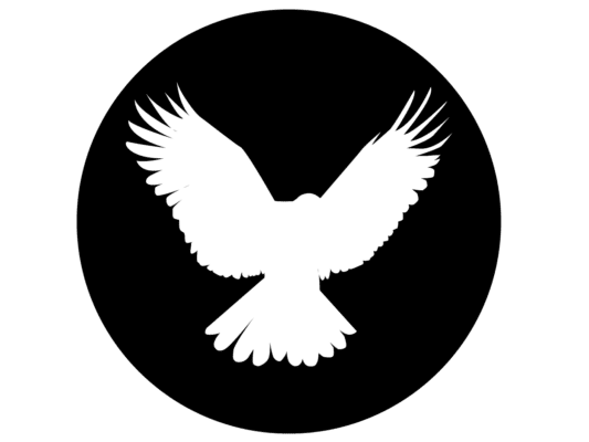 Black circle with a white silhouette of an eagle in the centre.